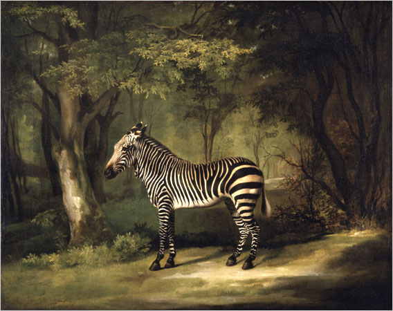 Stubbs Zebra